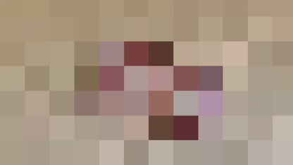 Habutai Silk Sari-Brown
